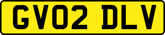 GV02DLV