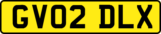 GV02DLX