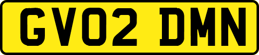 GV02DMN