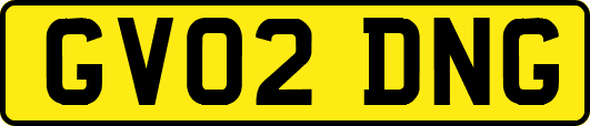 GV02DNG