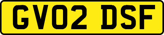 GV02DSF