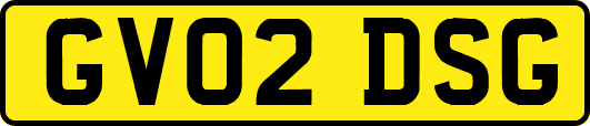 GV02DSG