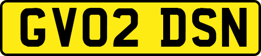 GV02DSN