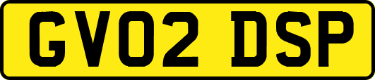 GV02DSP