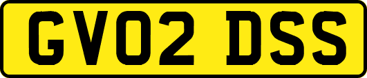 GV02DSS