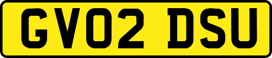 GV02DSU