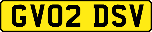 GV02DSV
