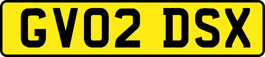 GV02DSX