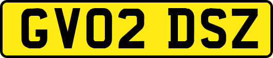GV02DSZ