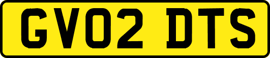GV02DTS