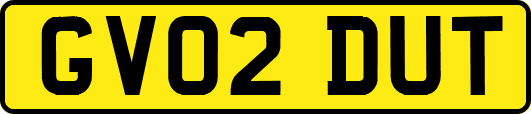 GV02DUT