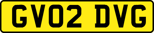 GV02DVG