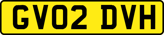 GV02DVH
