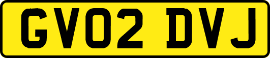 GV02DVJ