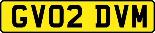GV02DVM