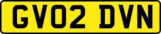 GV02DVN