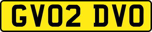 GV02DVO