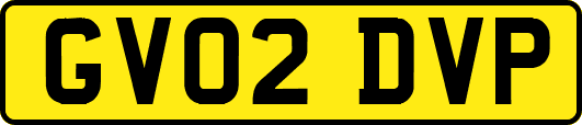 GV02DVP