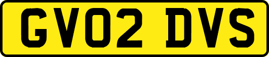 GV02DVS