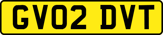 GV02DVT