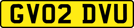 GV02DVU