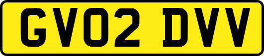 GV02DVV