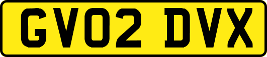 GV02DVX