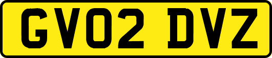 GV02DVZ