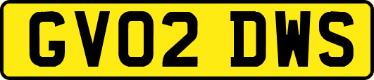GV02DWS