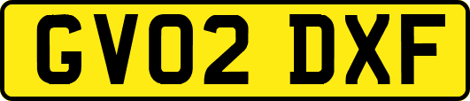 GV02DXF