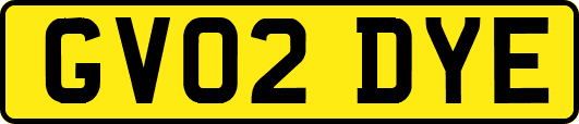 GV02DYE