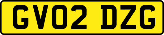 GV02DZG