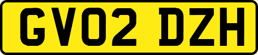 GV02DZH