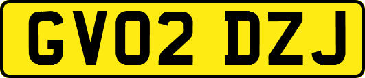 GV02DZJ