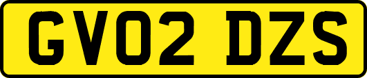 GV02DZS