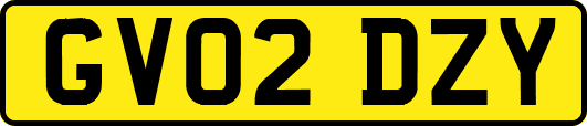 GV02DZY