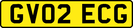 GV02ECG