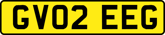 GV02EEG