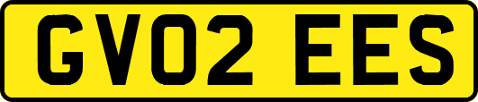 GV02EES