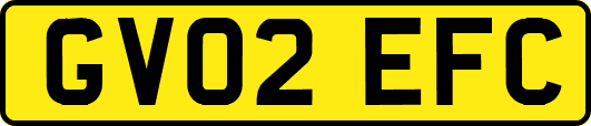 GV02EFC