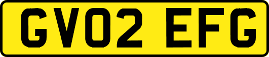 GV02EFG
