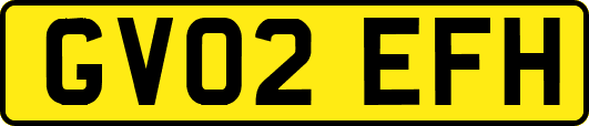 GV02EFH