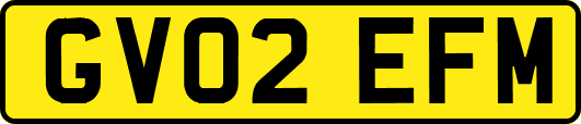 GV02EFM
