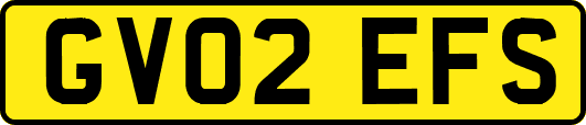 GV02EFS
