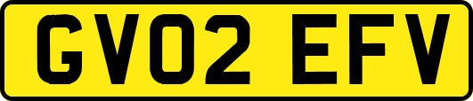 GV02EFV