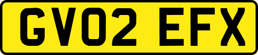 GV02EFX