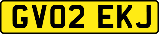GV02EKJ
