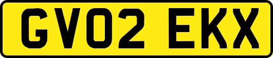 GV02EKX