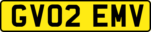 GV02EMV