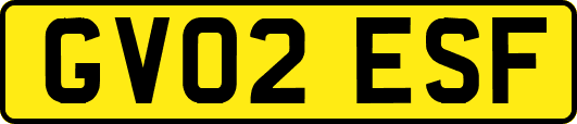 GV02ESF